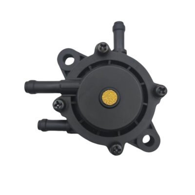 Replacement Fuel Pump 491922 808656 691034 808281 for Briggs & Stratton
